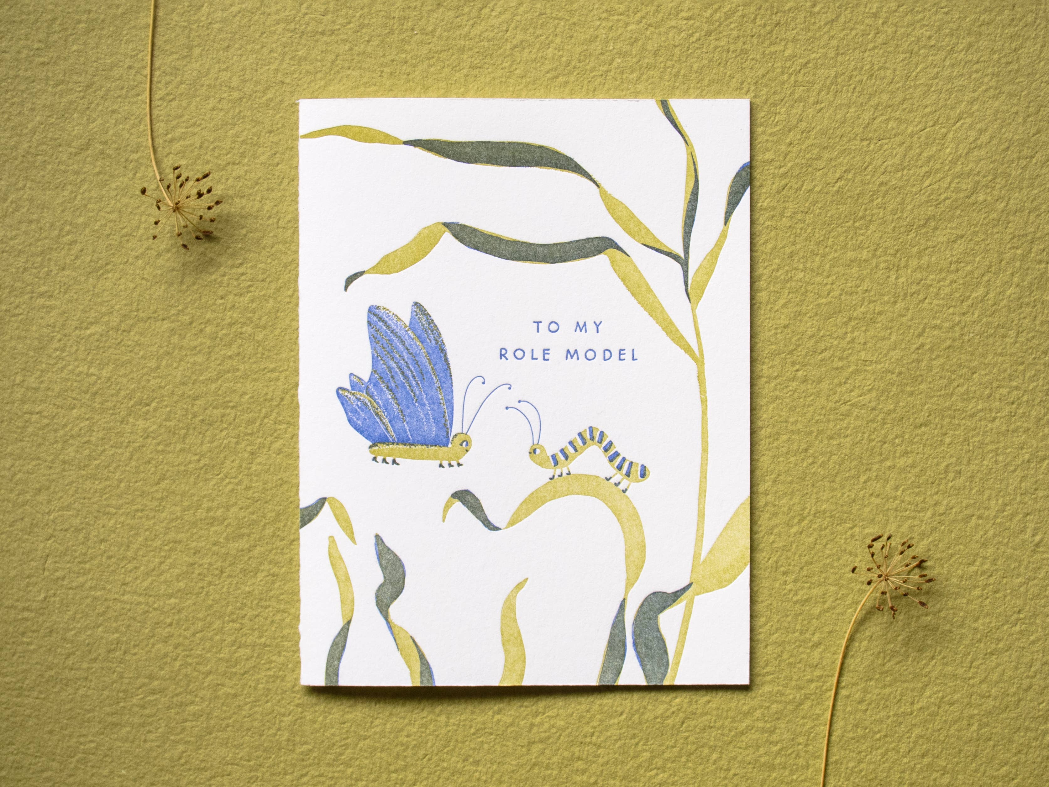 My Role Model Card - DIGS