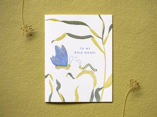 My Role Model Card - DIGS