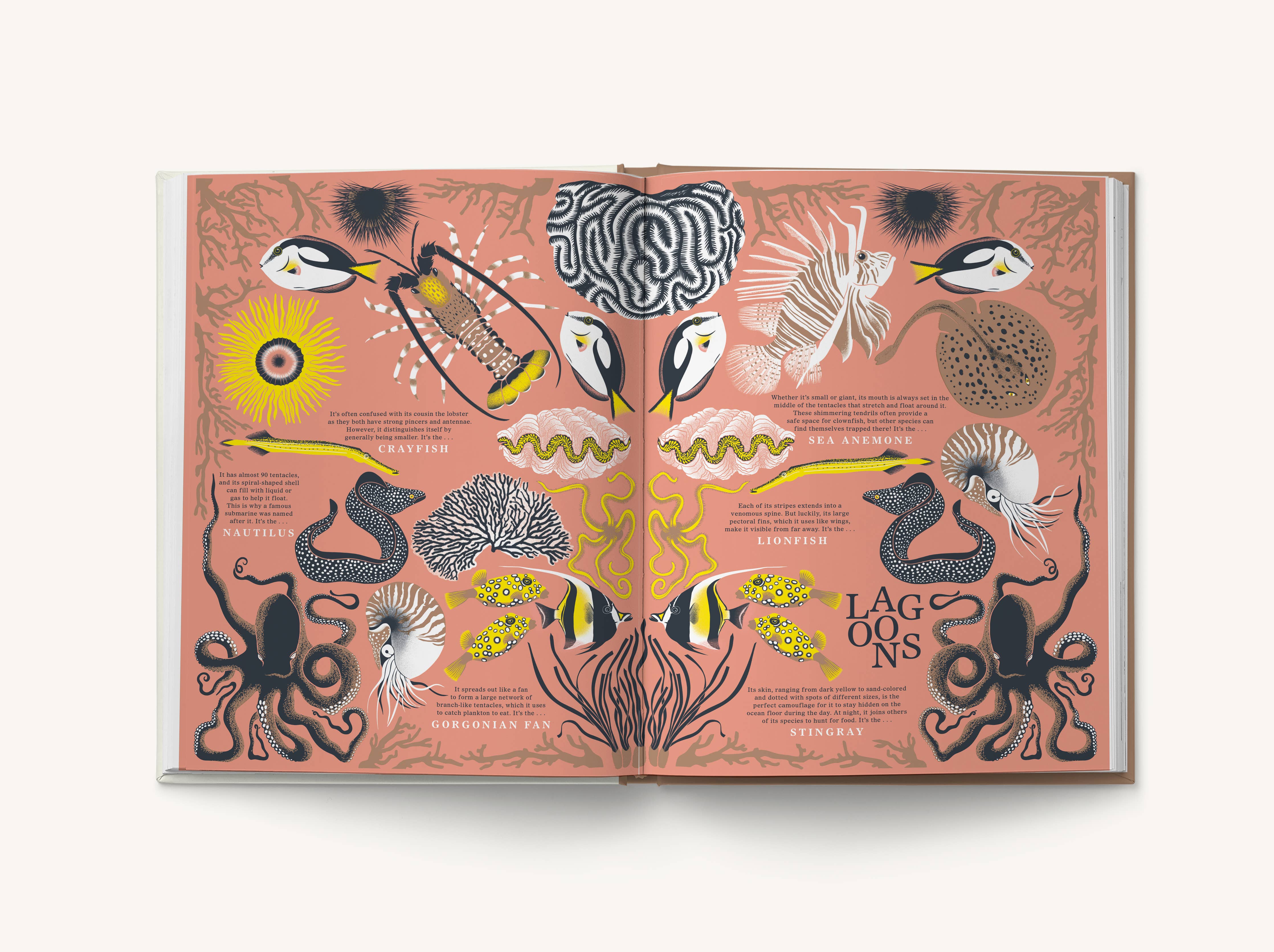 Nature: Discover the World’s Wonderful Habitats - DIGS