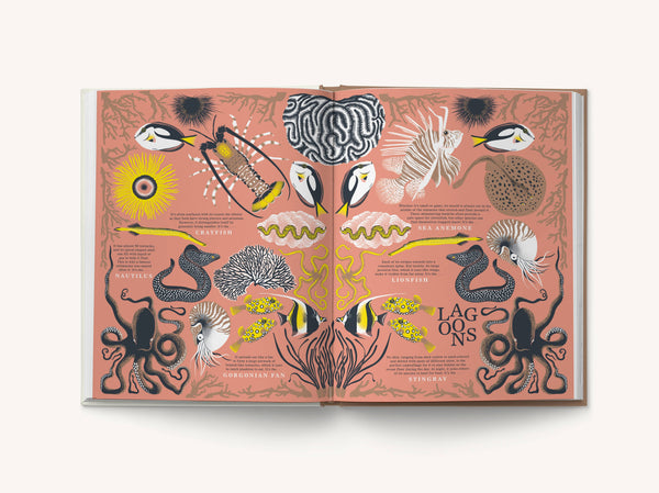 Nature: Discover the World’s Wonderful Habitats - DIGS