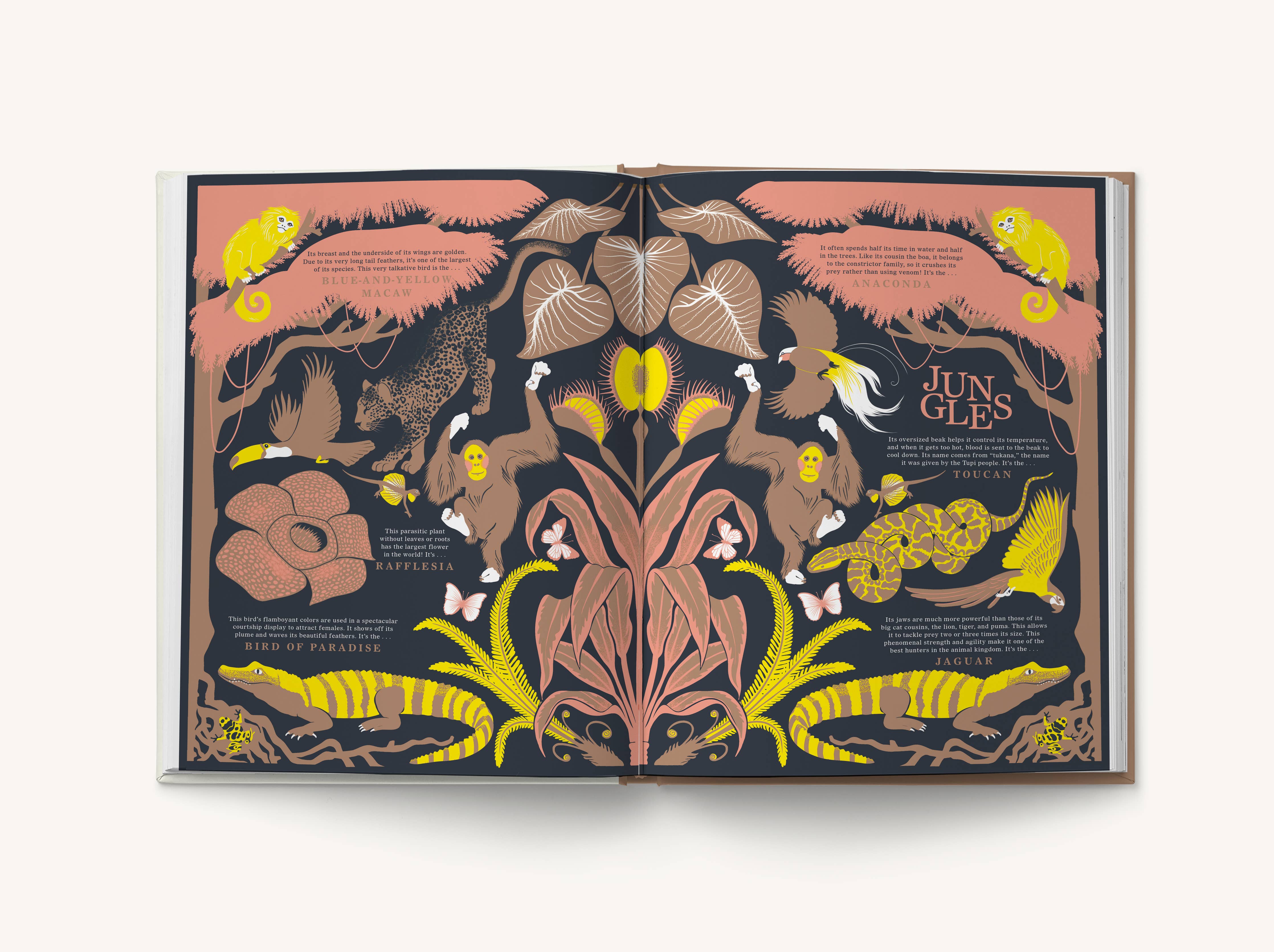 Nature: Discover the World’s Wonderful Habitats - DIGS