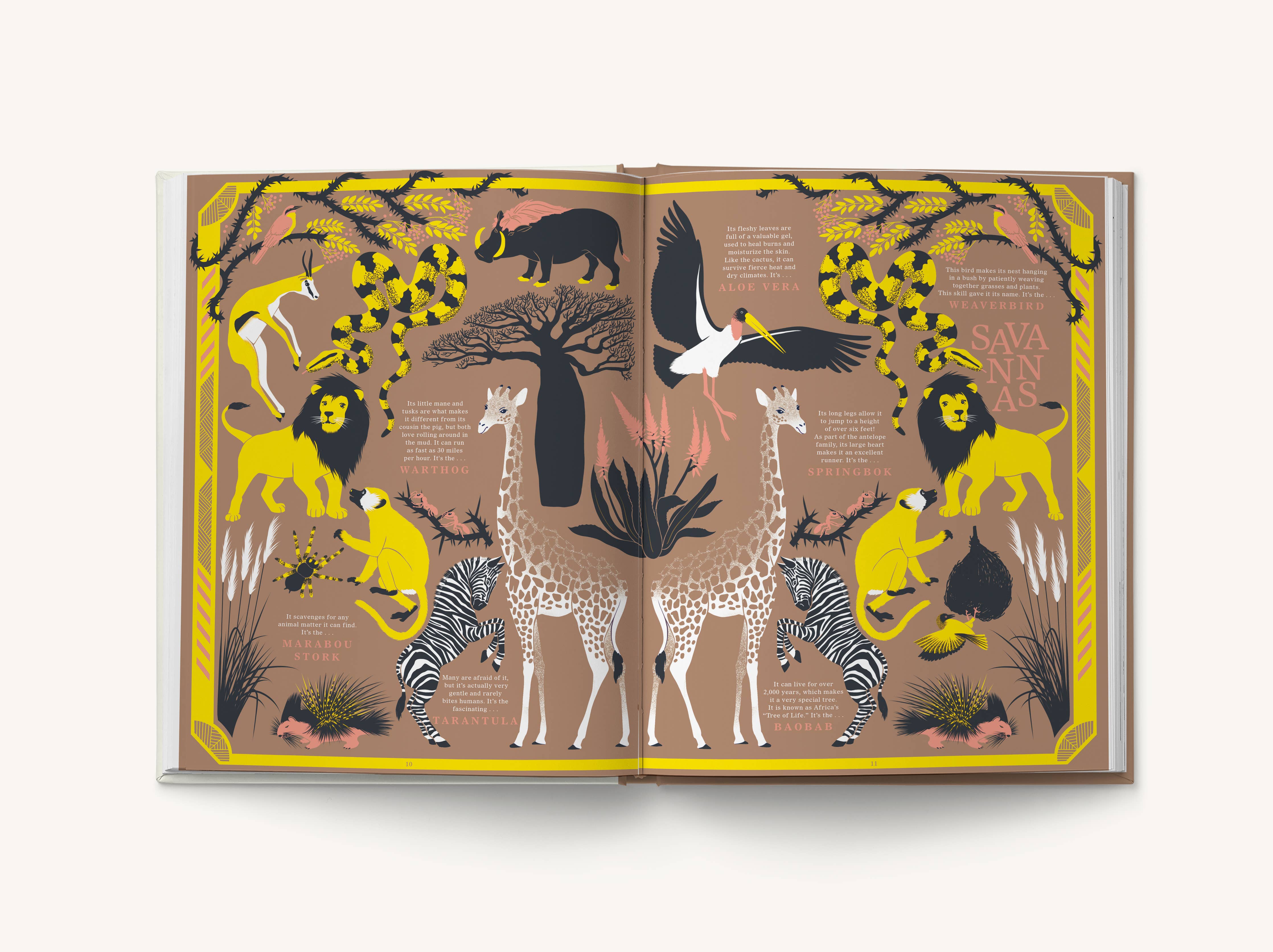 Nature: Discover the World’s Wonderful Habitats - DIGS