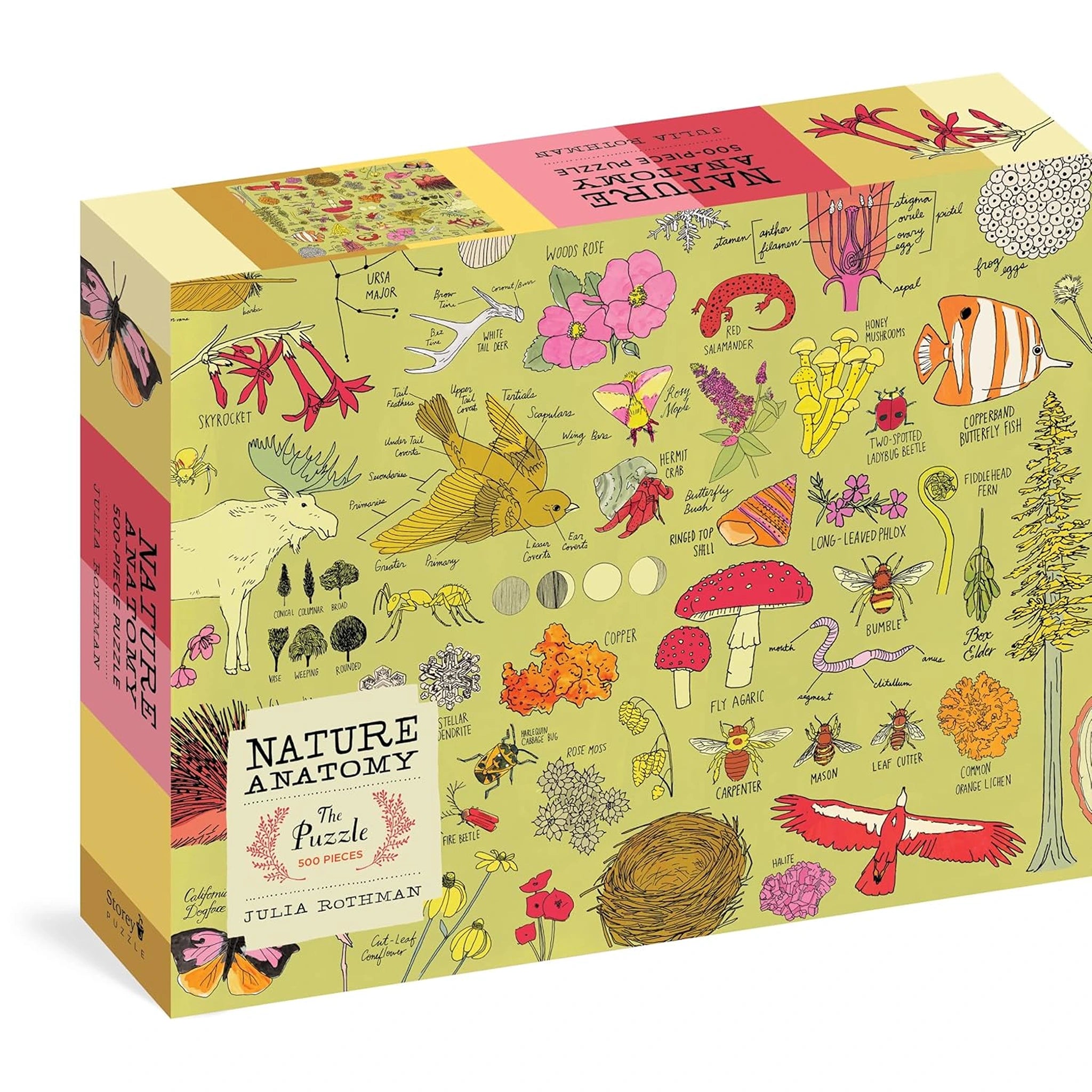 Nature Anatomy: 500 Piece Puzzle