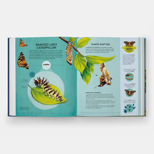 Nature's Tiny Champions: The Big Book of Little Creatures - DIGS