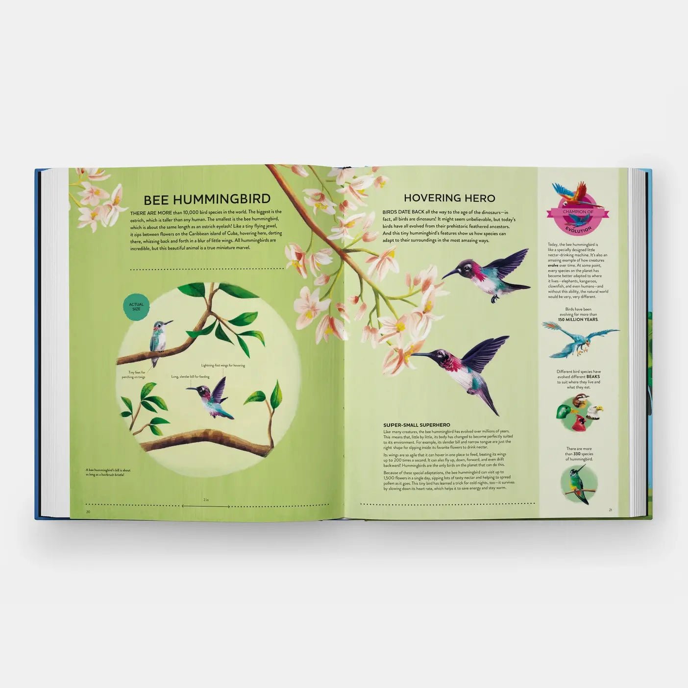 Nature's Tiny Champions: The Big Book of Little Creatures - DIGS
