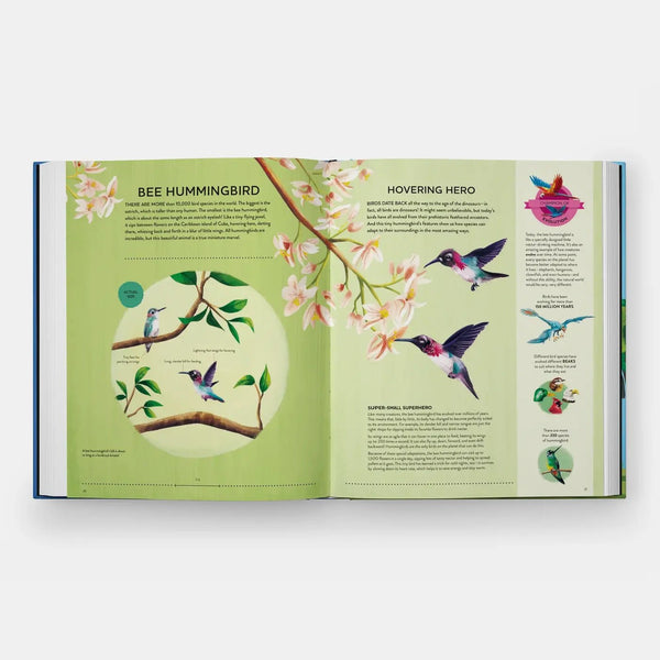 Nature's Tiny Champions: The Big Book of Little Creatures - DIGS