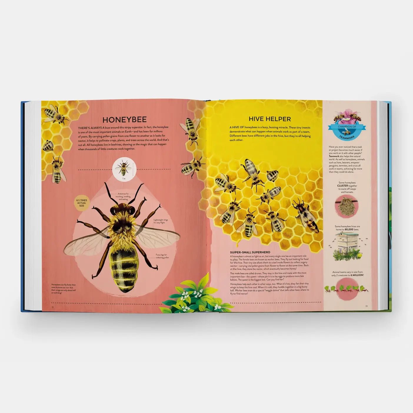 Nature's Tiny Champions: The Big Book of Little Creatures - DIGS