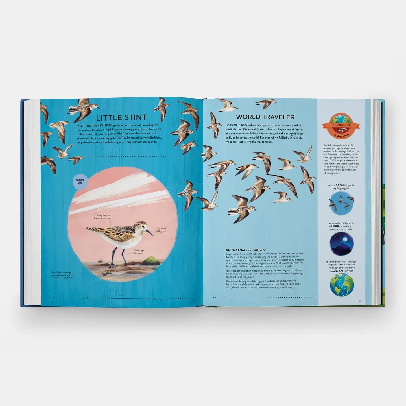Nature's Tiny Champions: The Big Book of Little Creatures - DIGS