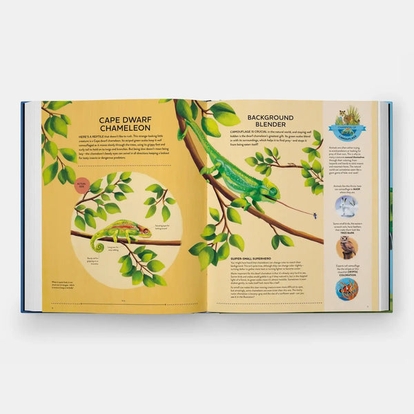 Nature's Tiny Champions: The Big Book of Little Creatures - DIGS