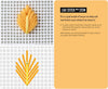 Needlepoint: A Modern Stitch Directory in 50 Cards - DIGS