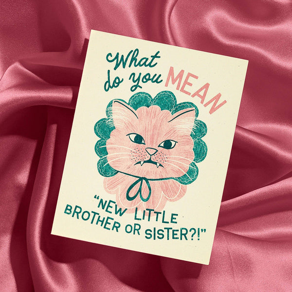 New Little Brother or Sister Baby Card - DIGS