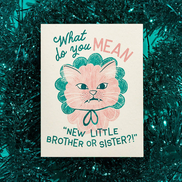 New Little Brother or Sister Baby Card - DIGS