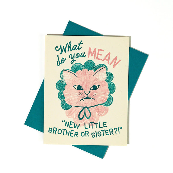 New Little Brother or Sister Baby Card - DIGS