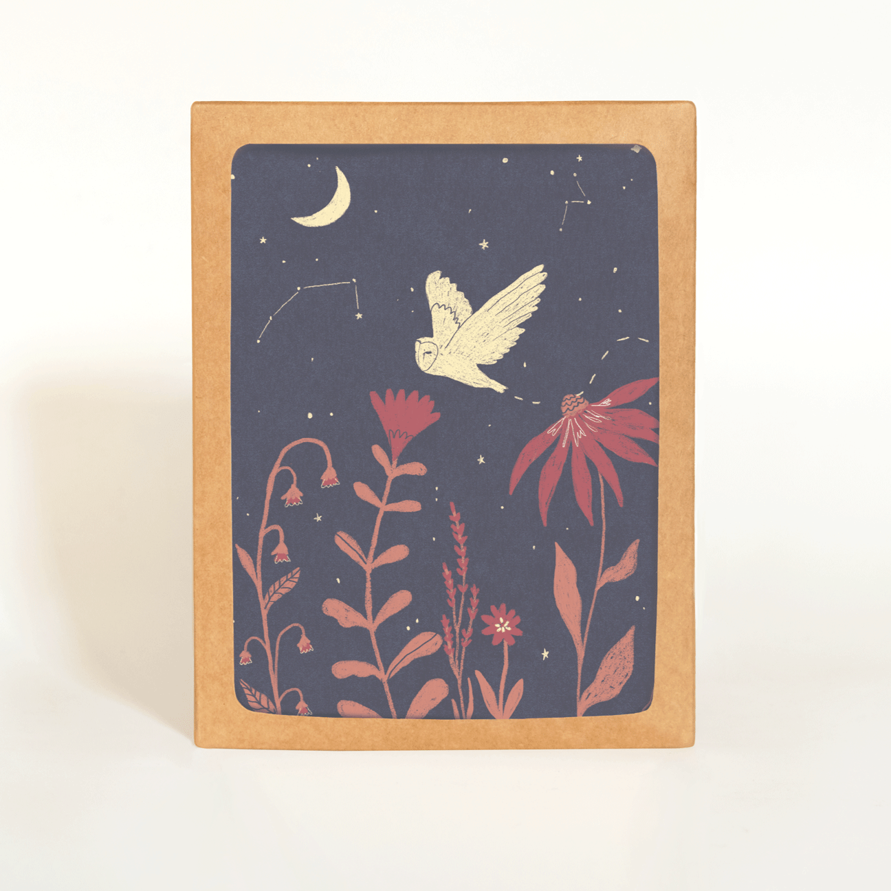 Night Owl Card Boxed Set - DIGS