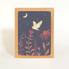 Night Owl Card Boxed Set - DIGS