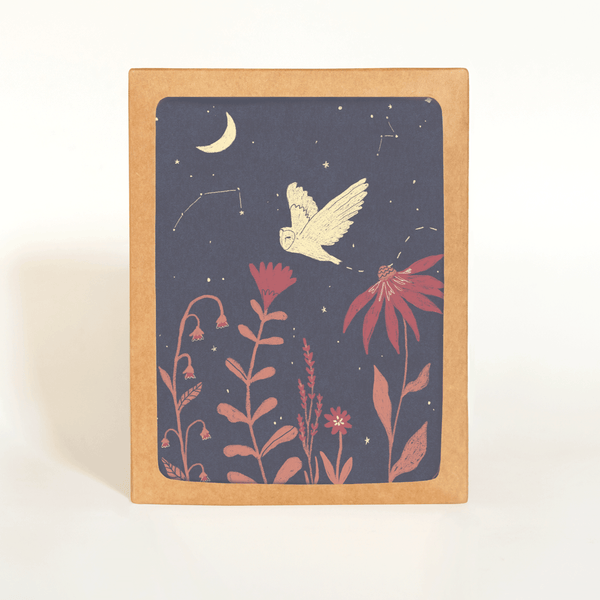 Night Owl Card Boxed Set - DIGS