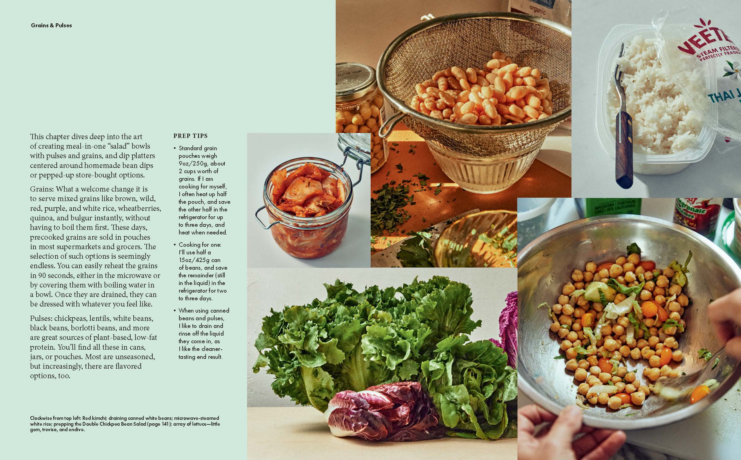 No-Cook Cookbook - DIGS