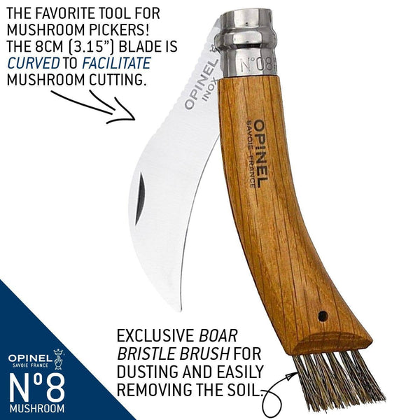 No.8 Oak Mushroom Knife + Sheath Gift Box - DIGS