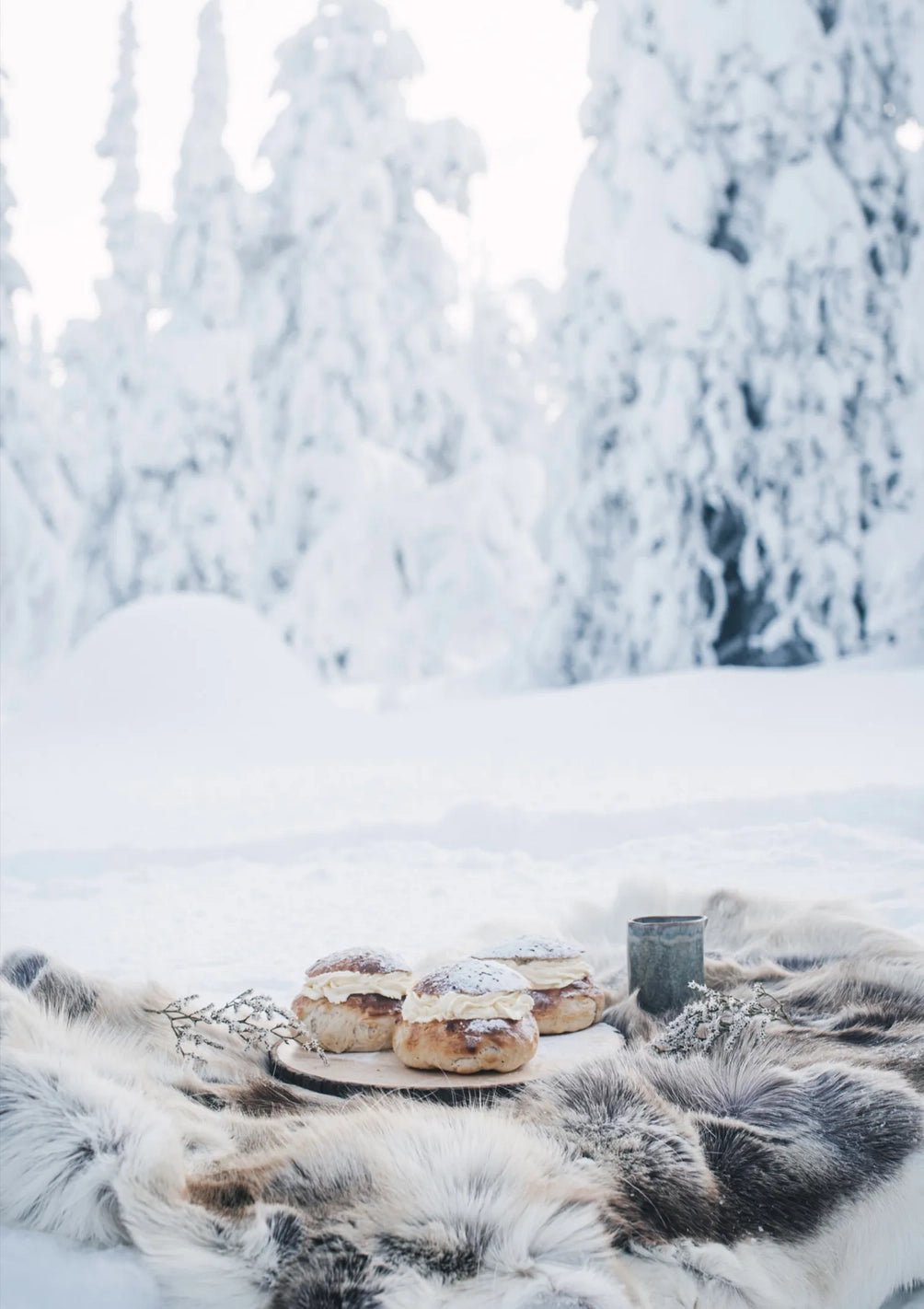 Nordic Winter Cookbook - DIGS