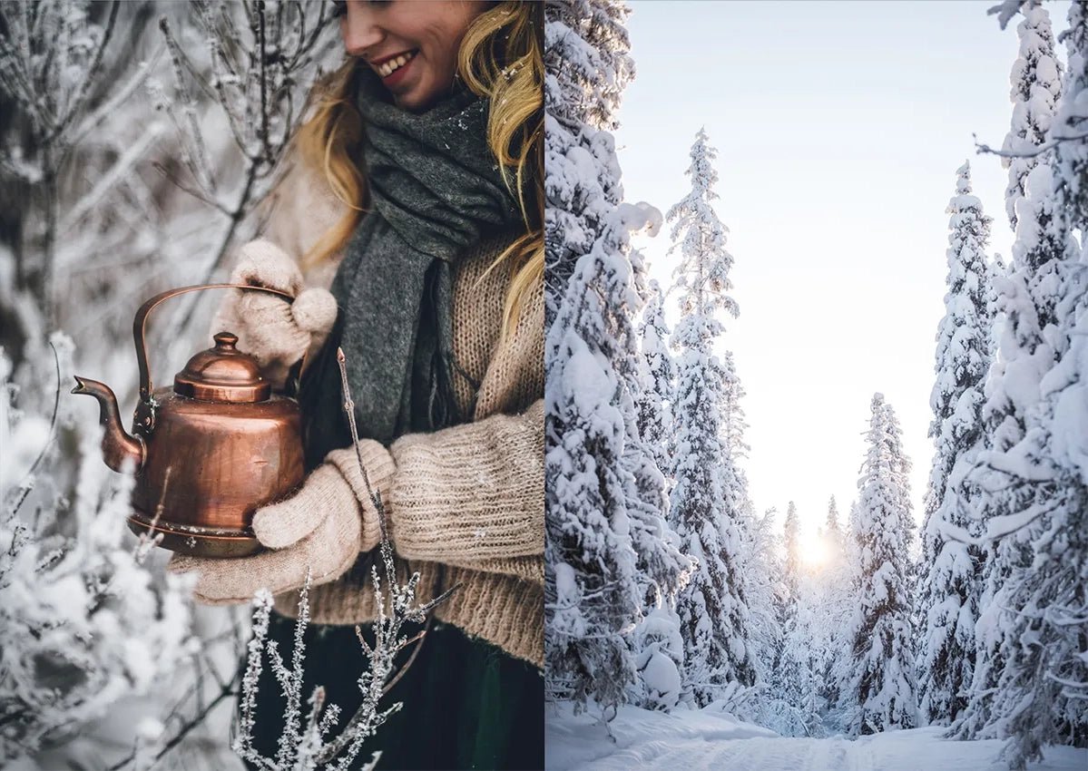 Nordic Winter Cookbook - DIGS