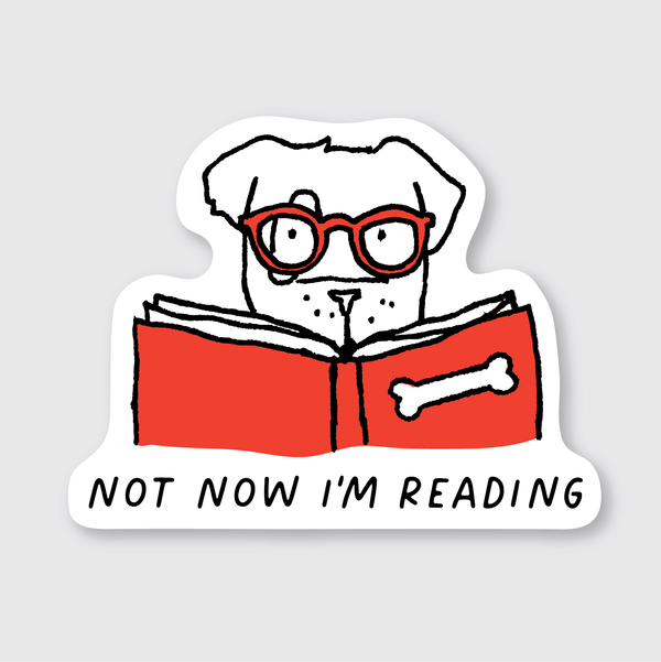 Not Now I'm Reading Sticker - DIGS