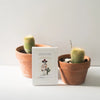 Oaxaca Chocolate Cinnamon Cayenne Cookies - DIGS