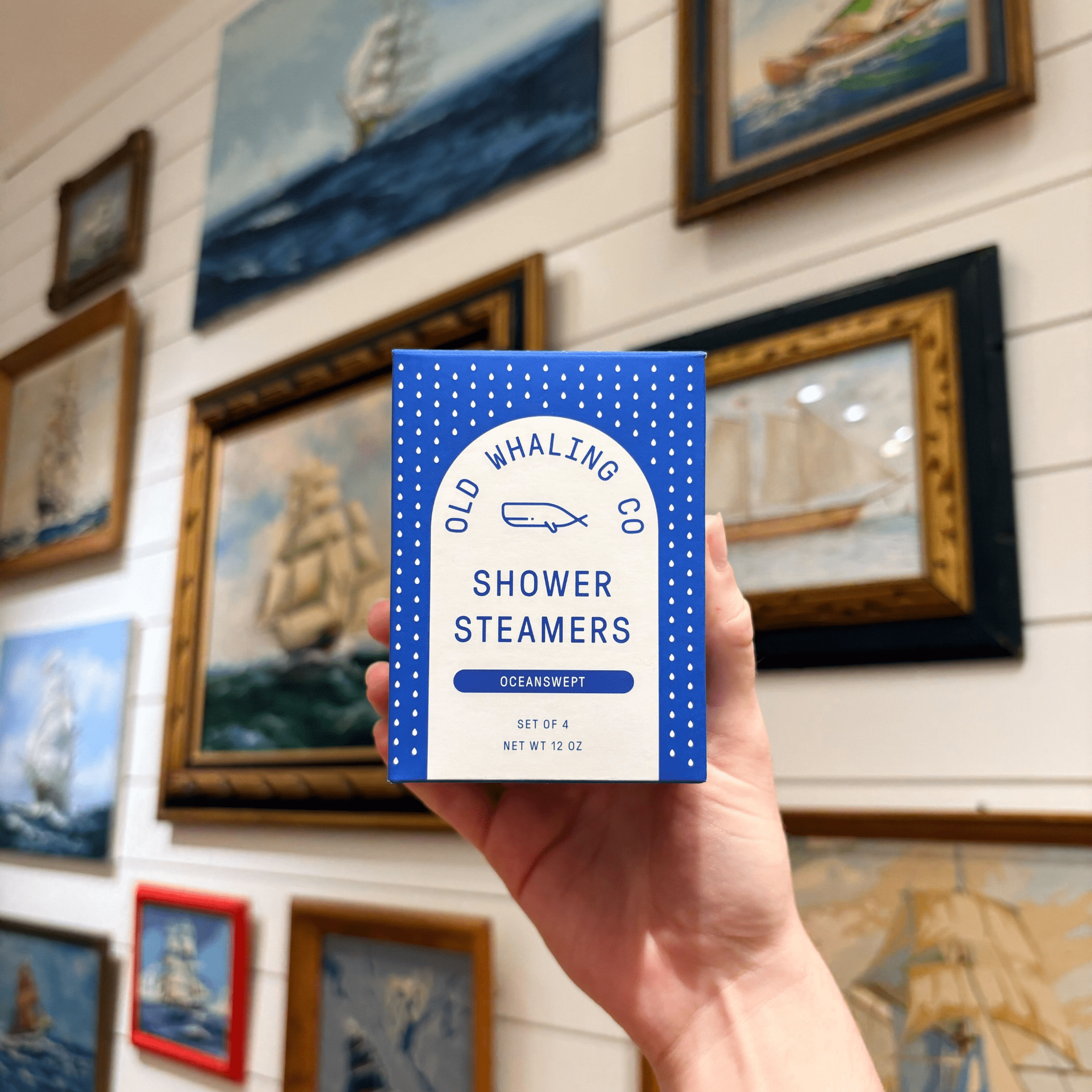 Oceanswept Shower Steamers - DIGS