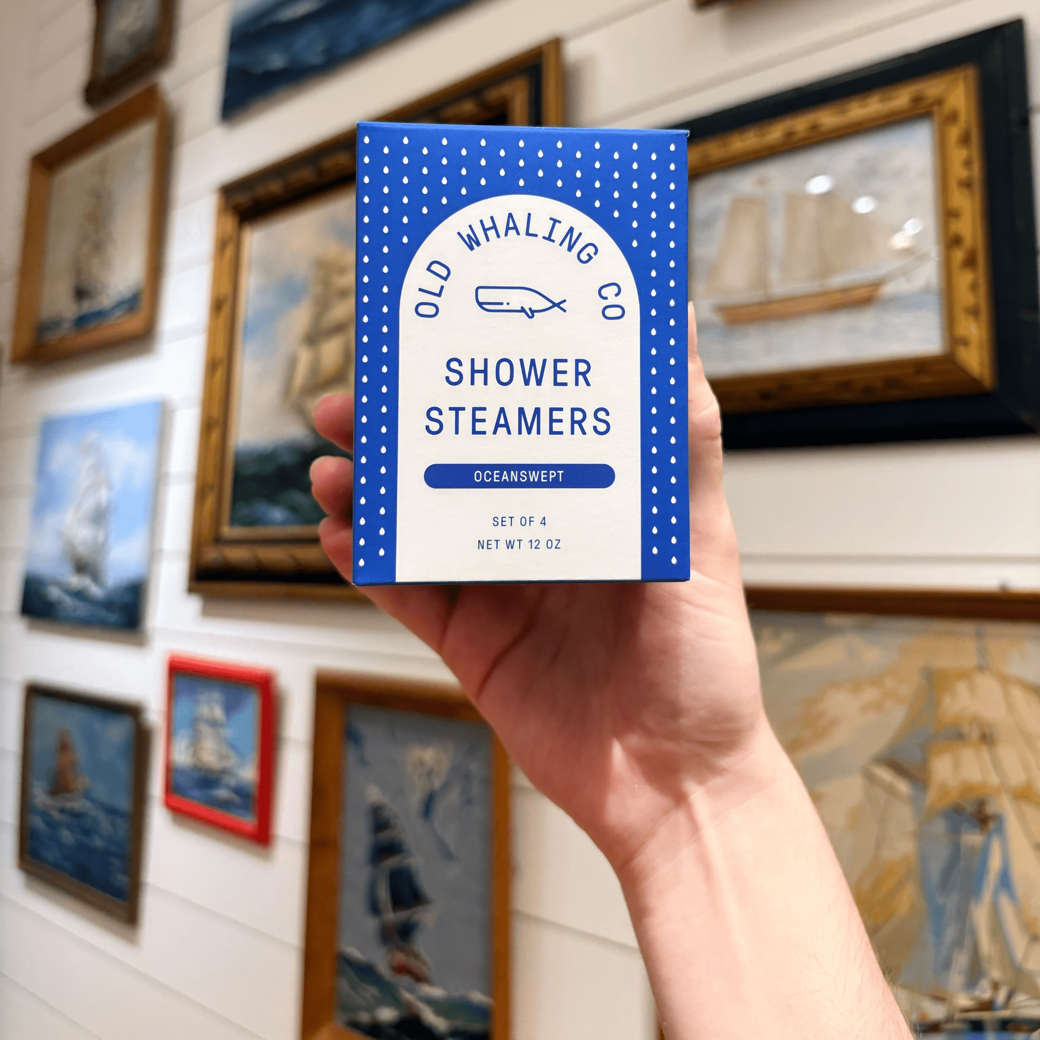 Oceanswept Shower Steamers - DIGS