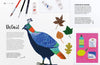 Oh My Gouache! The Beginners Guide to Painting with Opaque Colors - DIGS