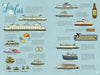 On Island Time: Illustrated Adventures Around Washington - DIGS