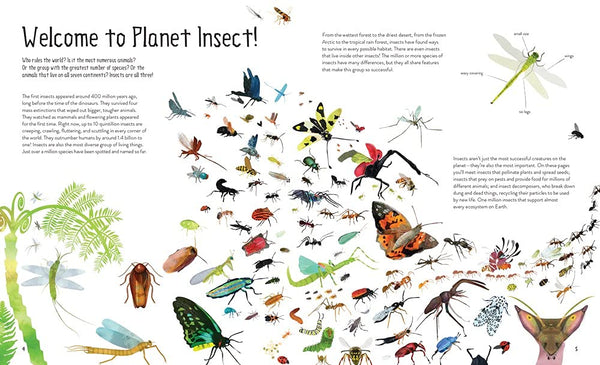 One Million Insects - DIGS