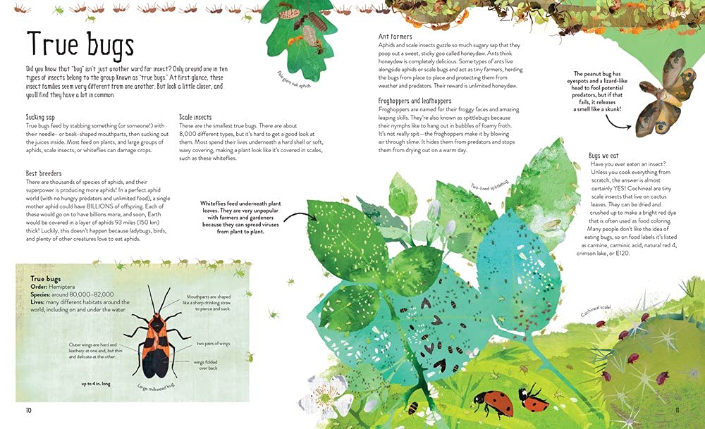 One Million Insects - DIGS