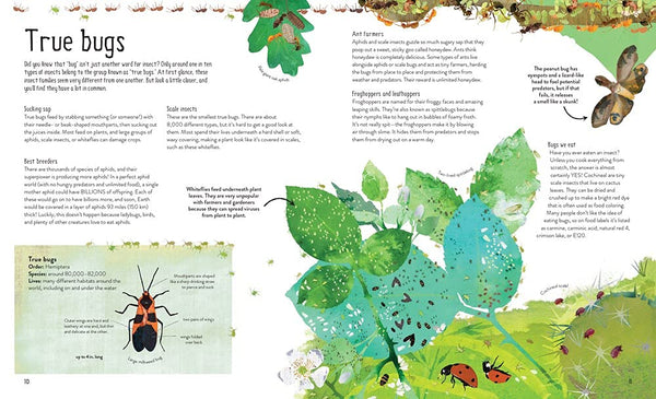 One Million Insects - DIGS