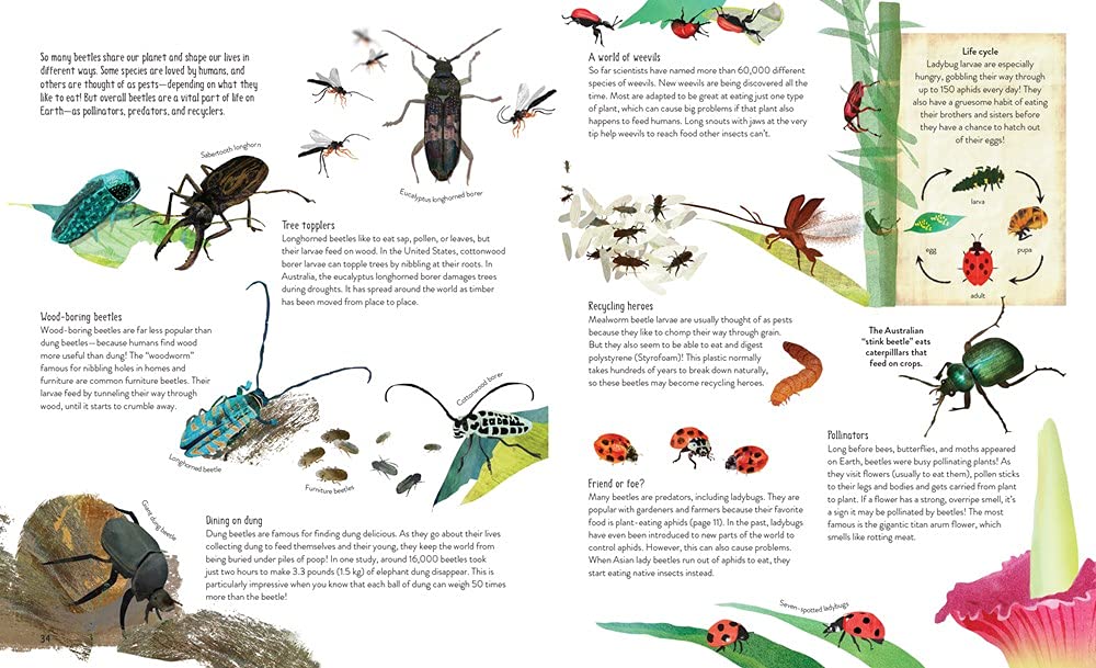 One Million Insects - DIGS