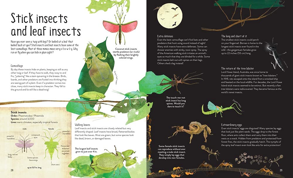 One Million Insects - DIGS
