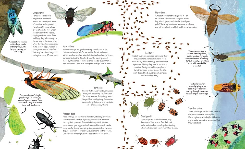 One Million Insects - DIGS
