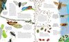 One Million Insects - DIGS