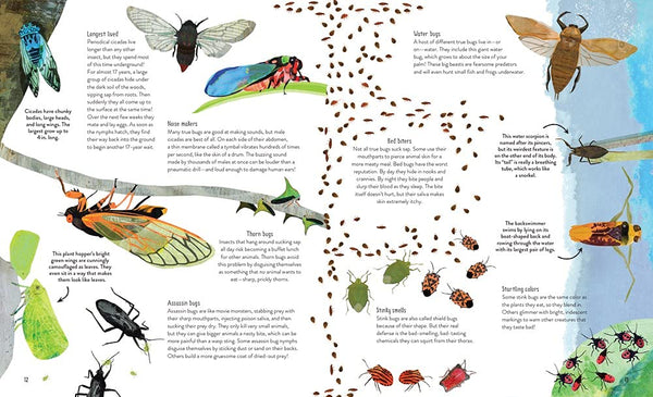 One Million Insects - DIGS