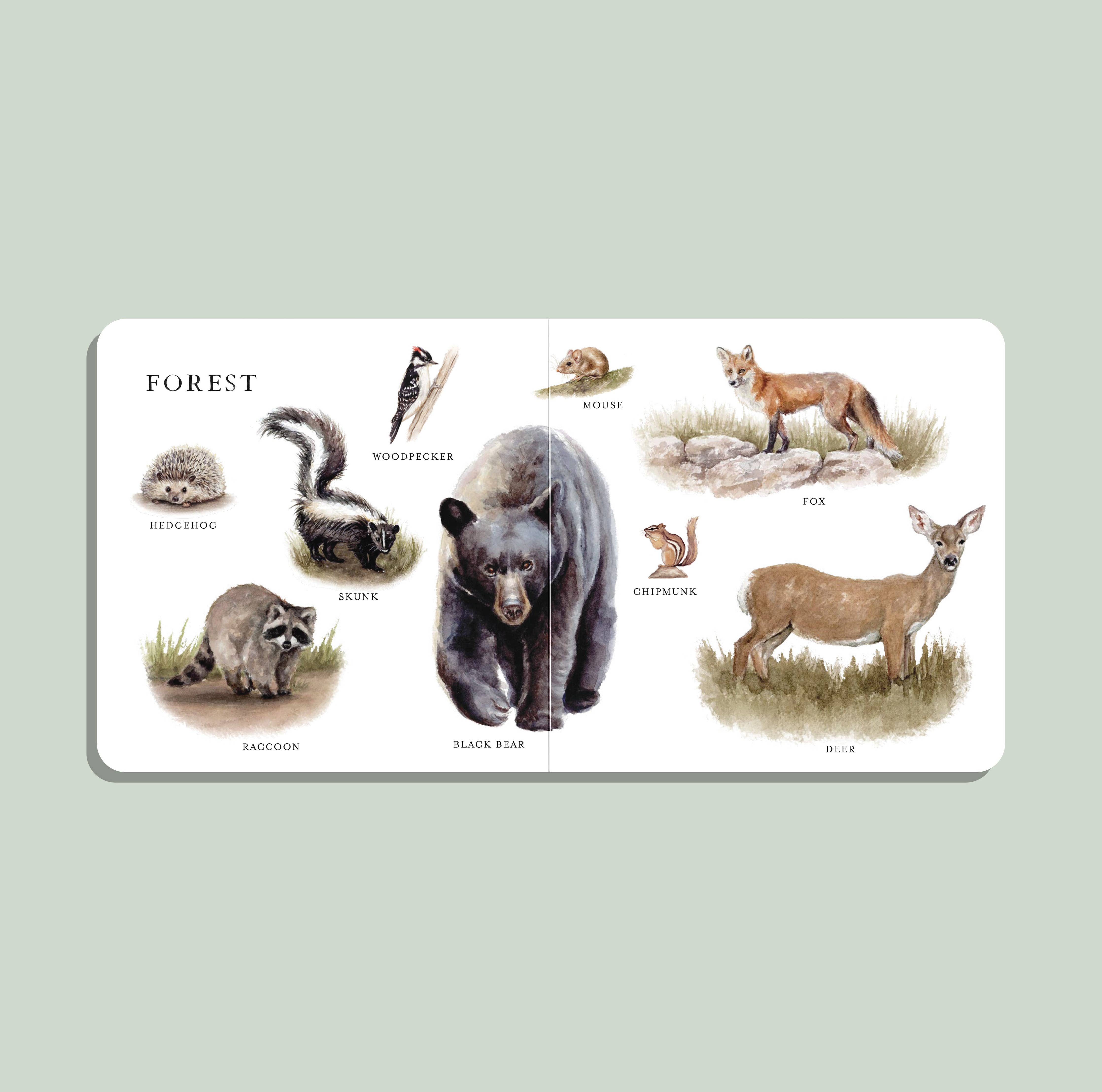 Our Big Book of Animals Board Book - DIGS