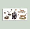 Our Big Book of Animals Board Book - DIGS