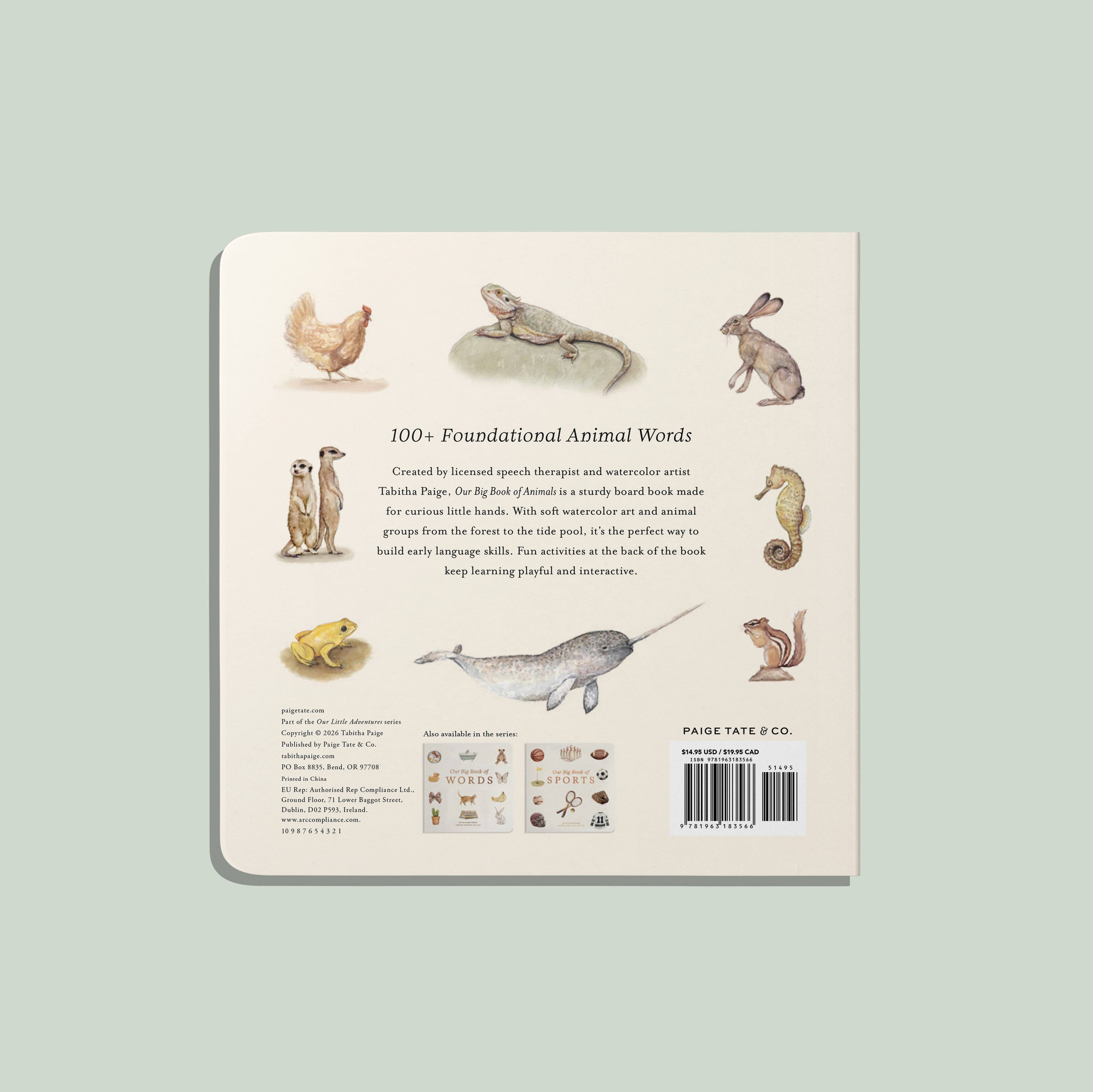 Our Big Book of Animals Board Book - DIGS