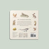 Our Big Book of Animals Board Book - DIGS