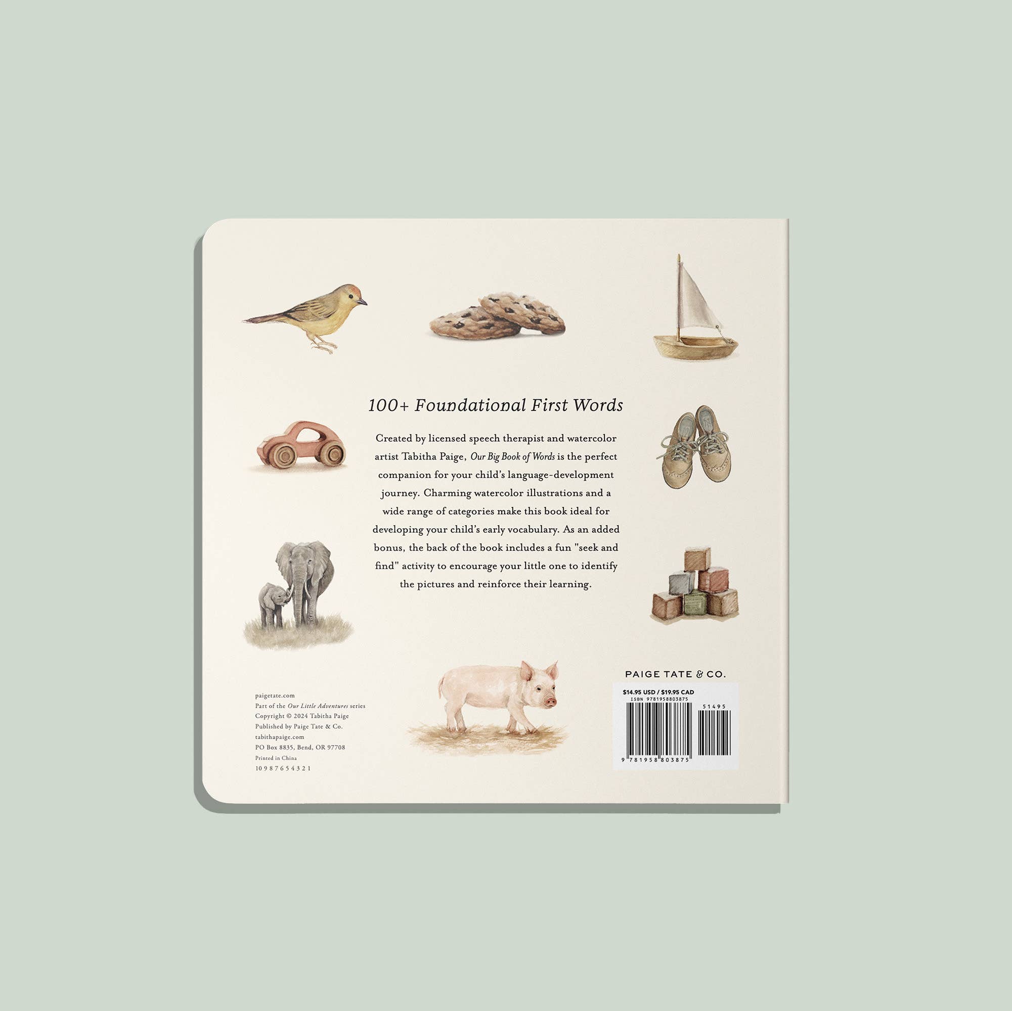 Our Big Book of First Words - DIGS
