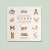 Our Big Book of First Words - DIGS