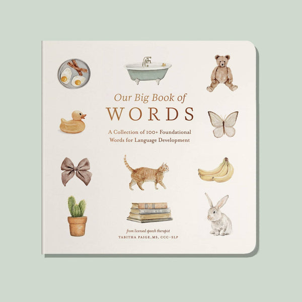 Our Big Book of First Words - DIGS