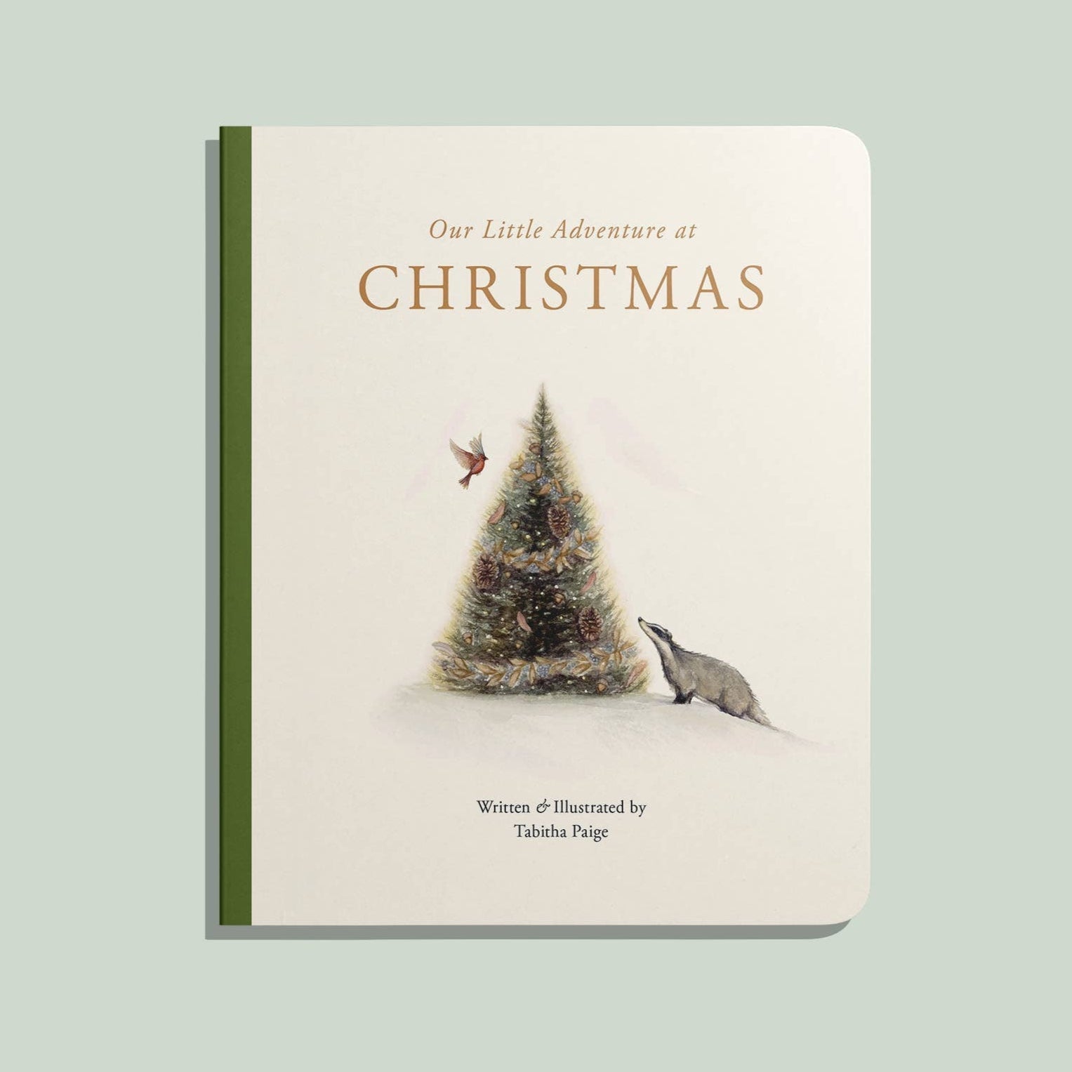 Our Little Adventure at Christmas Book - DIGS