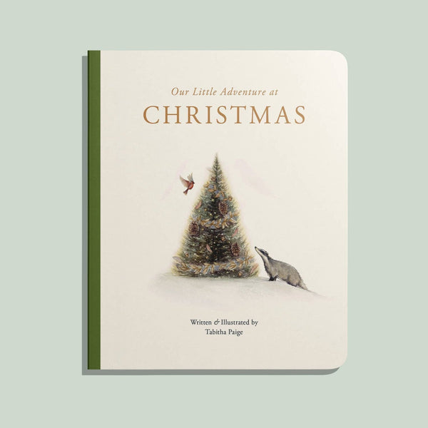 Our Little Adventure at Christmas Book - DIGS