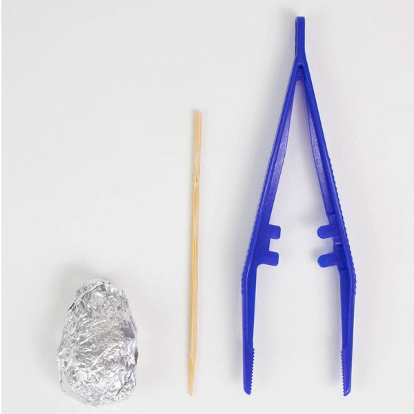 Owl Pellet Dissection Kit - DIGS