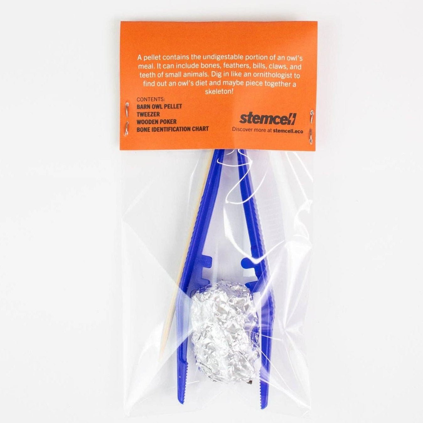 Owl Pellet Dissection Kit - DIGS
