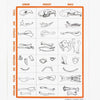 Owl Pellet Dissection Kit - DIGS